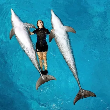 125 Oliveiras Terraces Апартаменты Албуфейра