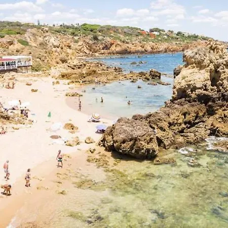 125 Oliveiras Terraces 公寓 *