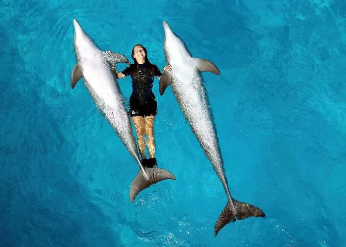 125 Oliveiras Terraces Apartamento Albufeira