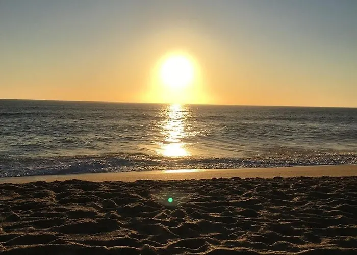 125 Oliveiras Terraces Lejlighed